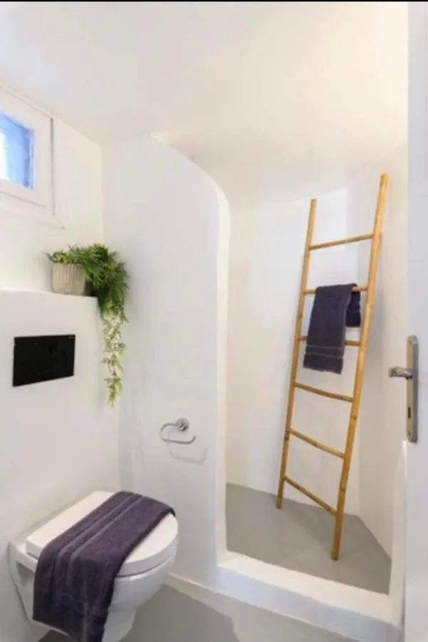 Elmina Studio In Mykonos Town Apartman